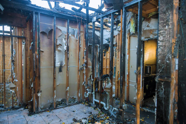 Professional Smoke Damage Removal technician working in Montgomery, TX
